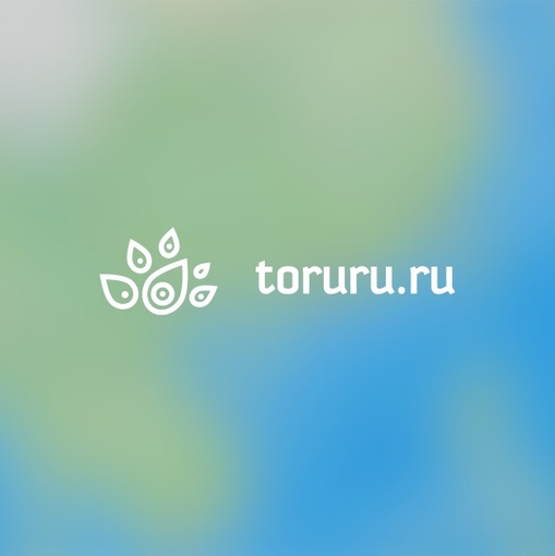 Проект Туруру.ру